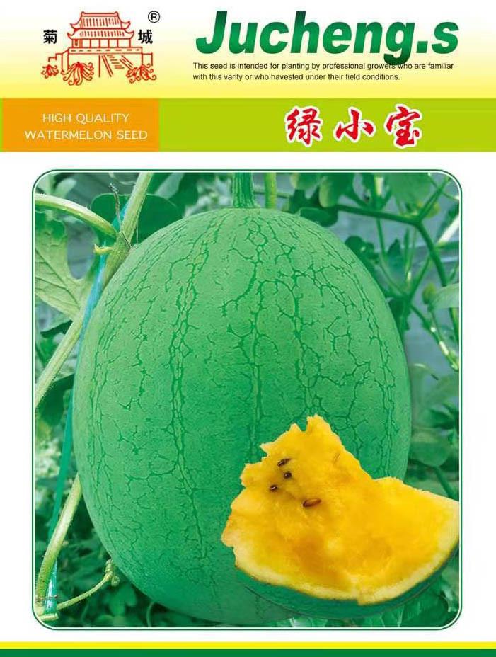 菊城绿小宝西瓜种子