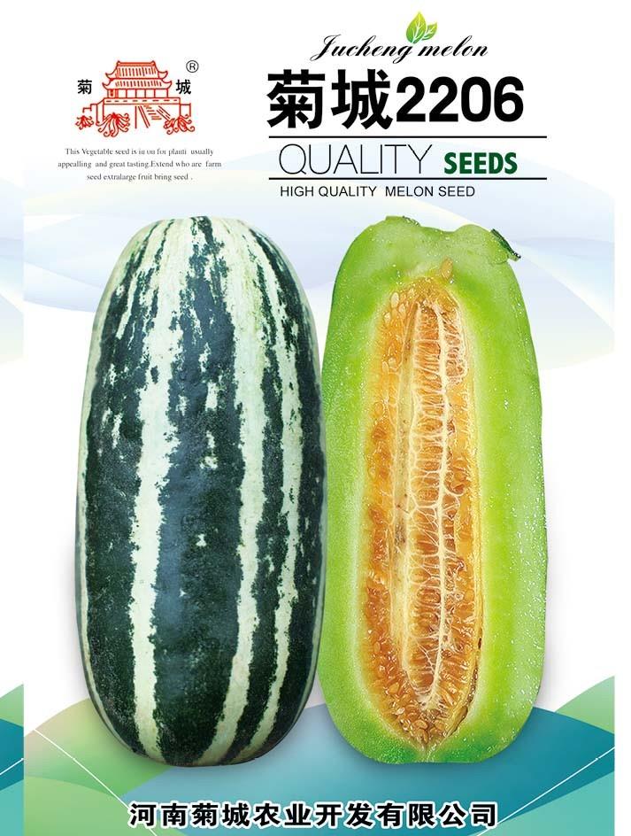 菊城2206甜瓜种子